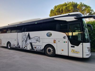 MERCEDES TOURISMO51 PAX + 1