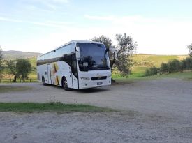 TRA ULIVETI E VITI - VILLA DIANELLA, VINCI